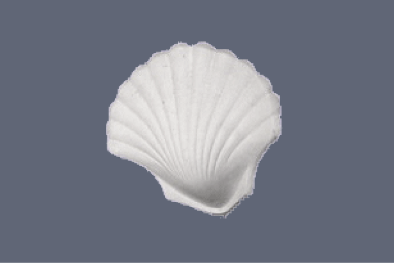 Corner Shell Plaster Uplighter UL605