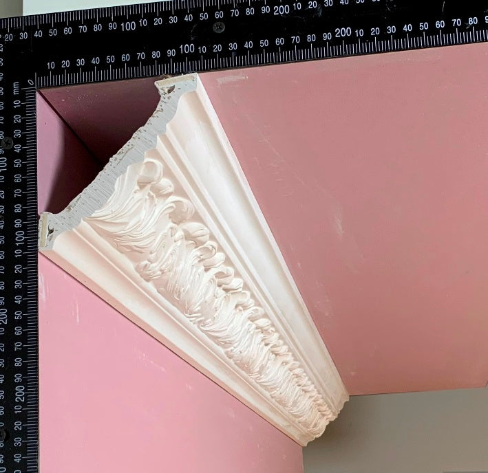 Plaster Cornice Welsh Acanthus CN104