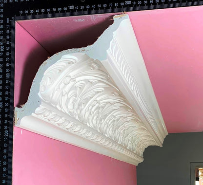 Plaster Cornice Honeysuckle CN137