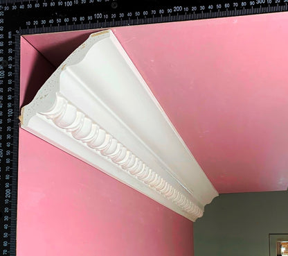 Plaster Cornice Egg and Dart CN143