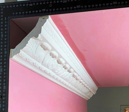 Plaster Cornice Scottish Acanthus CN147