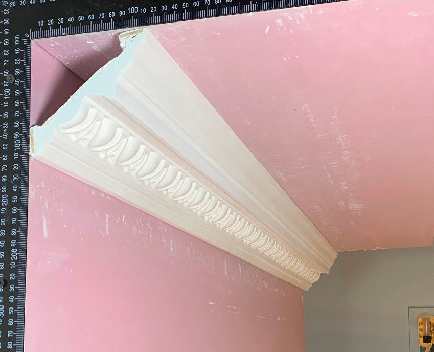 Plaster Cornice Old Egg and Dart CN167