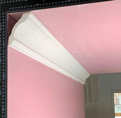 Plaster Cornice Small Swan CN182