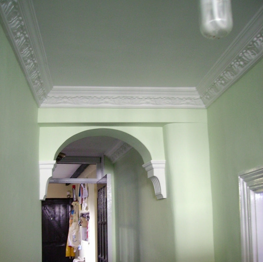 Plaster Cornice Small Acanthus CN107